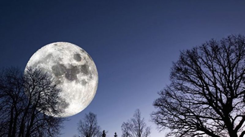 研究发现：史前人类用月亮计时