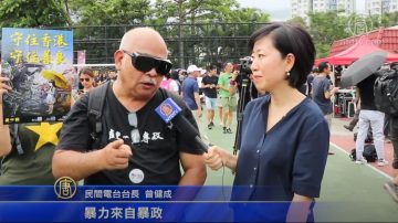 香港沙田大遊行 市民讉責警察暴力