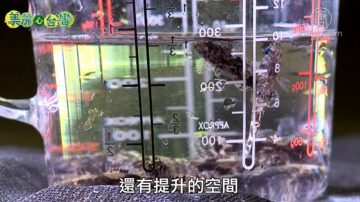 美麗心台灣：突破困境 連俊堯培育筍殼魚苗創佳績