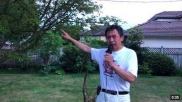 如果說立法院的損失能延緩香港的繁榮，那豈不是太划算了！