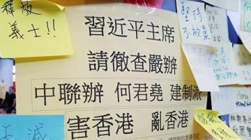 程晓容：中联办欲与元朗袭击割席 无法服众
