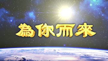 電影《為你而來》反響熱烈近日將重播、並籌拍續集