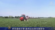 7月4日环球财经简讯