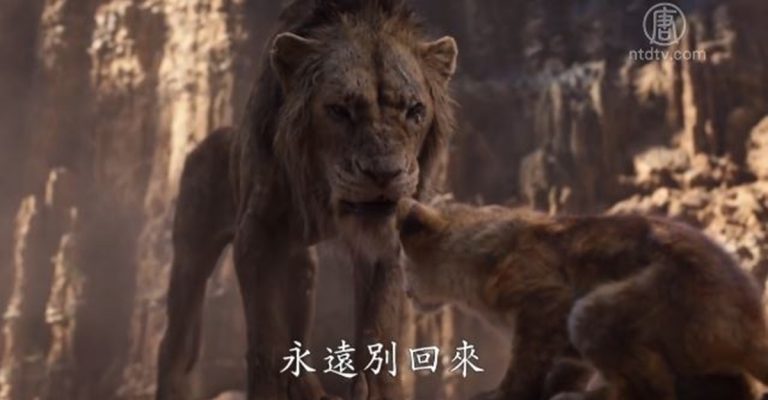 新「獅子王」經典再現 全明星配音陣容