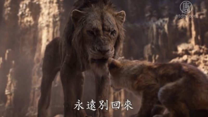 新「獅子王」經典再現 全明星配音陣容