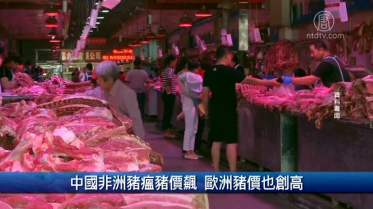 財經100秒：中國非洲豬瘟豬價飆 歐洲豬價也創高