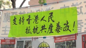 声援香港反送中  纽约民运人士相挺