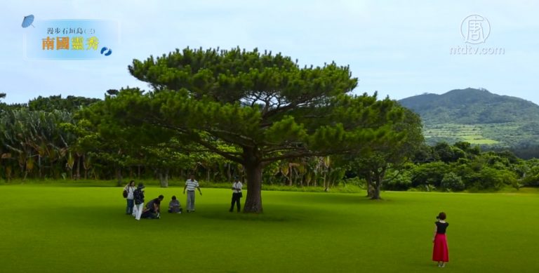 【你好日本】南國靈秀 漫步石垣島（三）