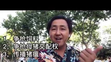 老師給留學生找三陪 大學不如青樓 校長成了牲口