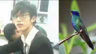 大學生抓16隻鳥判10年半 河南父喊冤：判的比貪官還重
