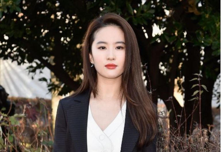 劉亦菲撐警引全球抵制 《花木蘭》海報遭惡搞