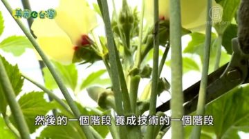 美麗心台灣：生態有機永續 李法憲的理想與抱負