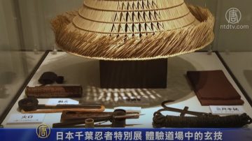 日本千叶忍者特别展 体验道场中的玄技