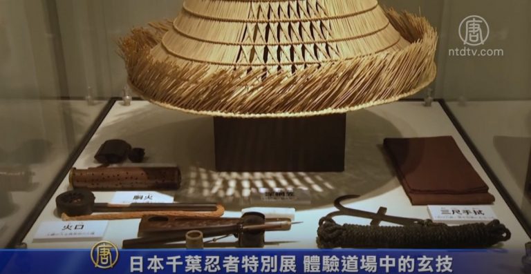 日本千葉忍者特別展 體驗道場中的玄技
