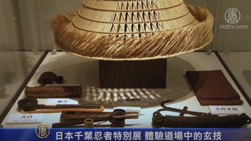 日本千葉忍者特別展 體驗道場中的玄技