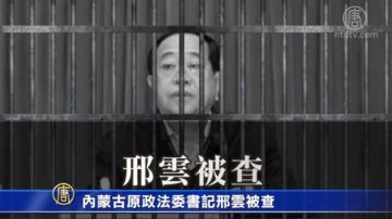 内蒙古落马高官受贿4.49亿 出庭受审