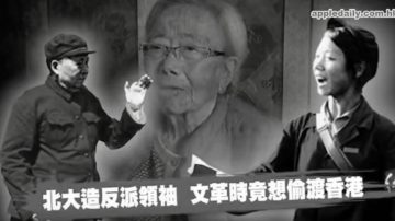 文革造反派頭子聶元梓去世 曾欲偷渡香港（視頻）