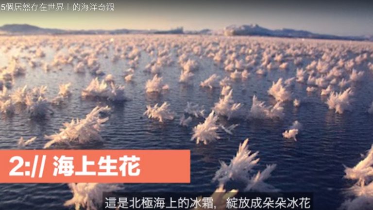 世界上的海洋奇觀 難以置信的現象（視頻）