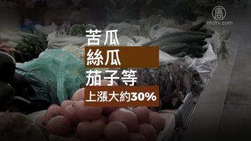 颱風利奇馬重創壽光 北京蔬菜漲價30%