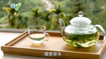 1000步的缤纷台湾：山中处处是宝 跟草本达人和野菜专家来寻宝！