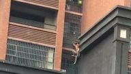 楼房起火 湖南老人背孙从8楼爬墙逃生(视频)