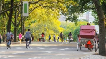 紐約市重開民眾外出量大增 醫生憂太早放鬆警惕