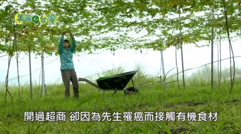 美麗心台灣：鄭惠玲從消費變有機農場經營者