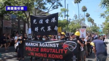 各地华人集会 支持香港反送中