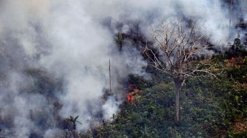 亞馬遜雨林遭火吞噬 每分鐘逾1.5個足球場被焚毀