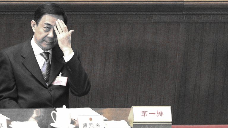 涉薄熙來案 央視前女主播姜豐現身