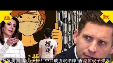 报复美国 华为哭昏 中共被指流氓纳粹 港人告大陆同胞书 答茶友：为何茶馆黑中共？