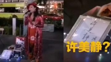 《城裡的月光》許美靜 被爆淪落街頭賣藝？