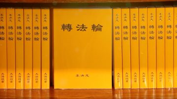 袁红冰：法轮功坚守20年 自由已不远