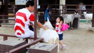 纤巧迷人并讨人喜爱的京都市动物园