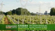 【广告】常青果园农场