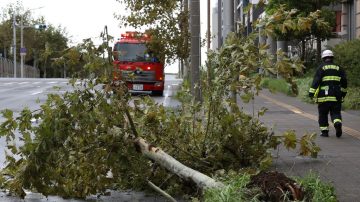 法西登陸日本關東釀1死20傷 交通大亂近百萬戶停電