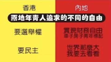 五毛製圖獻媚中共 疑「跪姿不正」被刪除