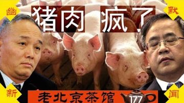 【老北京茶館】豬肉瘋了！胡春華瘋了！蔡奇也瘋了！港人持續抗爭