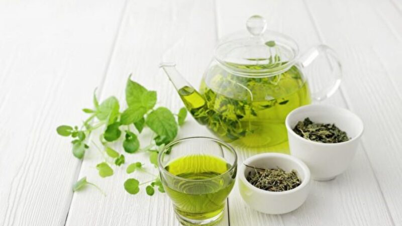 研究：绿茶提取物可抗超级细菌