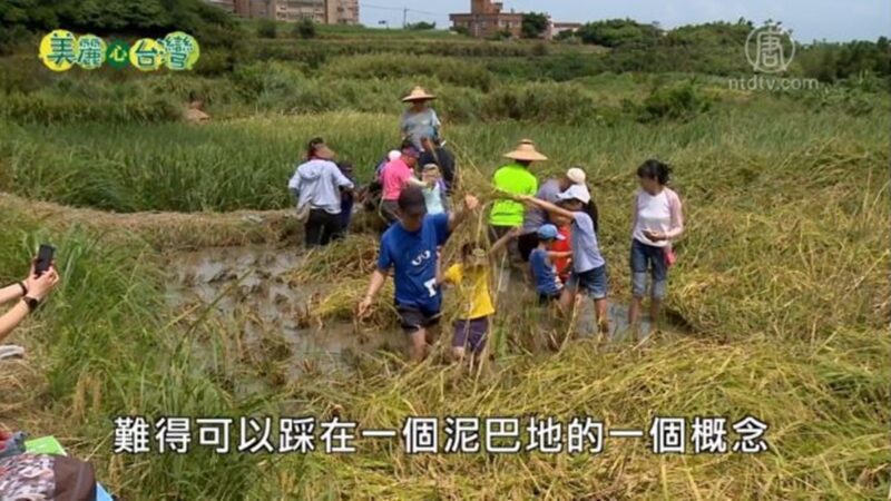 美麗心台灣：全家總動員 多元經營創生機