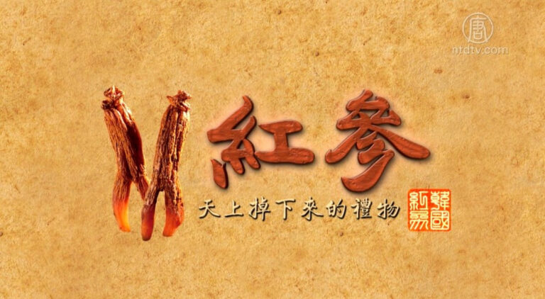 【你好韓國】天上掉下來的禮物：紅參