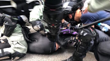 杨宁：邓小平一语成谶 中共将被全世界打倒  