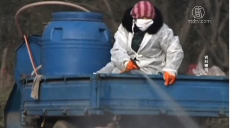 雲南西雙版納爆發登革熱 當局封鎖消息
