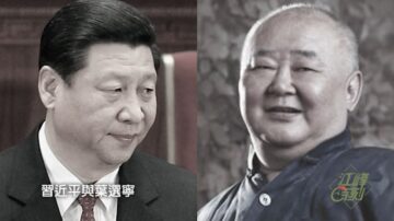 【江峰时刻】70年民族劫难《五》：叶剑英推荐习仲勋 叶选宁辅佐习近平 中国是红色家族的遗产