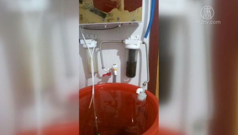 遼寧埋千餘頭病豬 致兩千村民飲污水投訴無門
