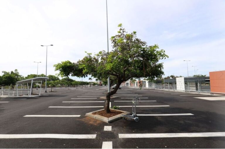 尋找最佳停車位的策略？