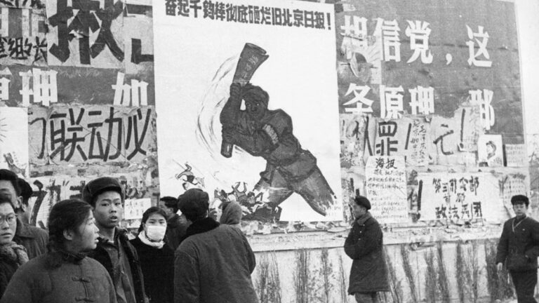 毛粉怒罵央視火爆網絡 網友嘲諷「一嘴毛」