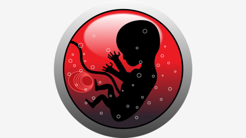 胎儿在妈妈肚子里 不为人知的这些事 或许出乎你的预料