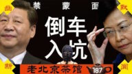 【老北京茶馆】禁蒙面 林郑拉习下悬崖？美国惊现反共动漫！