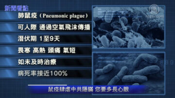 【新聞看點】大陸鼠疫涉三省？ 最可怕的不是疫情